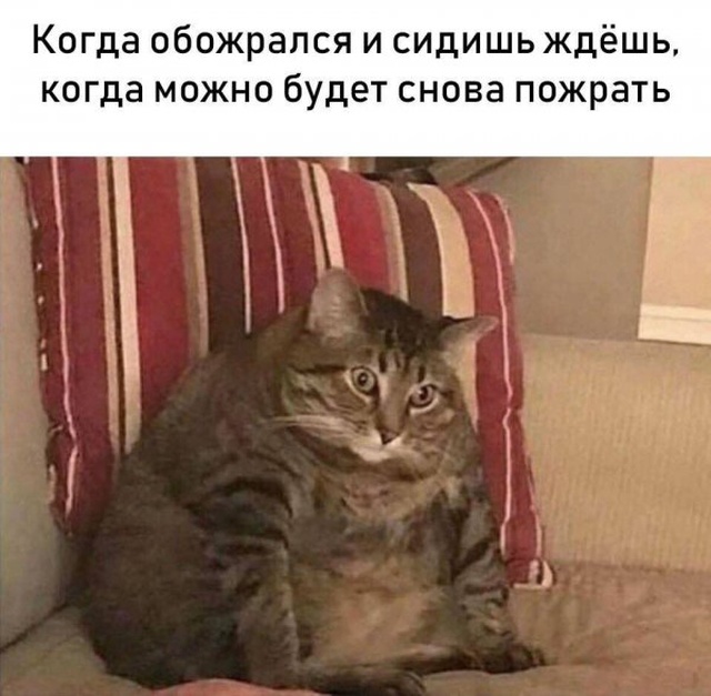 Юмор и картинки без смысловой нагрузки