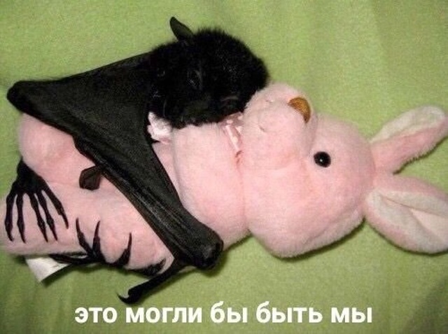 Юмор и картинки без смысловой нагрузки
