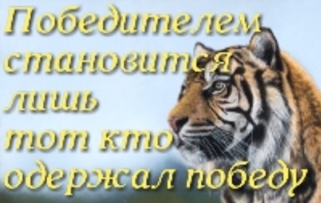 Юмор и картинки без смысловой нагрузки