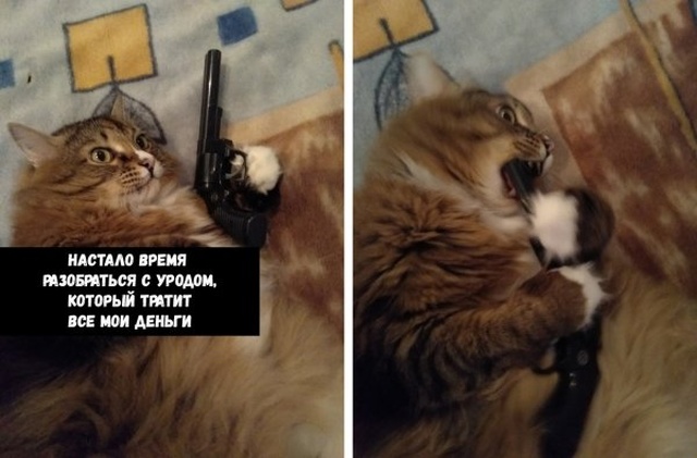 Юмор и картинки без смысловой нагрузки
