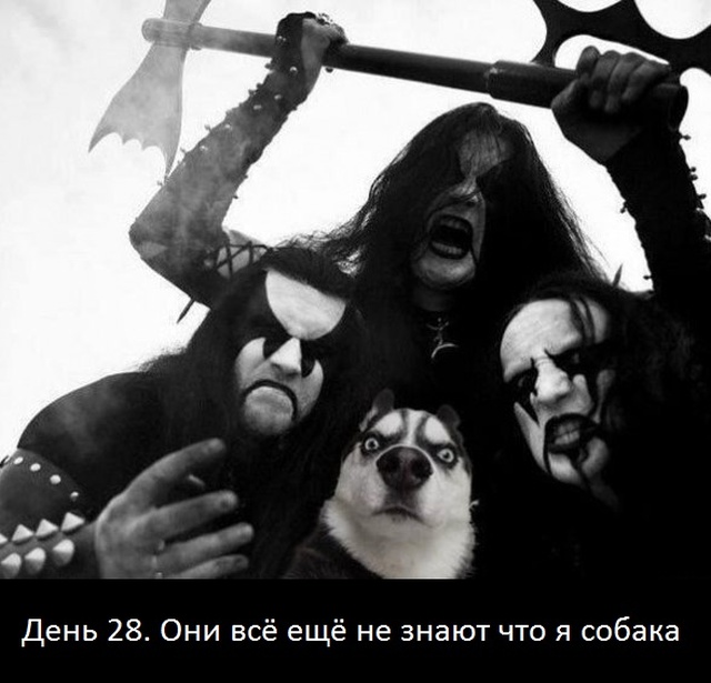 Юмор и картинки без смысловой нагрузки