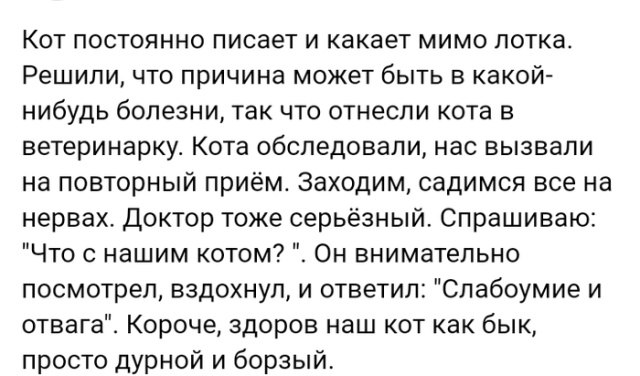 Короткие истории людей из социальных сетей