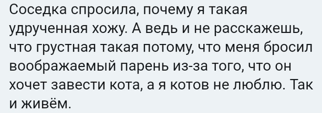Короткие истории людей из социальных сетей