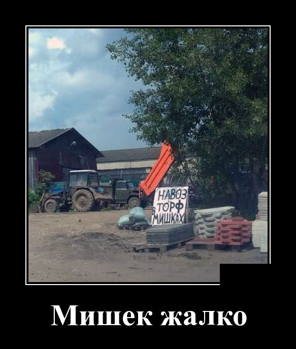 Демотиваторы