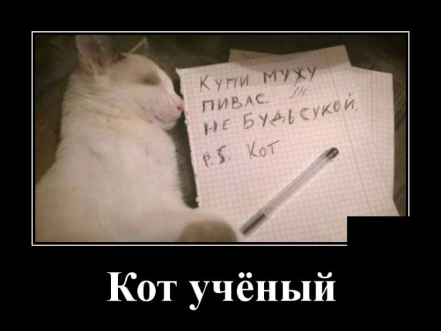 Демотиваторы
