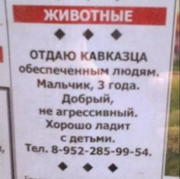 Смешные надписи