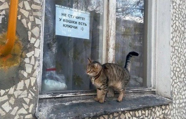 Смешные надписи
