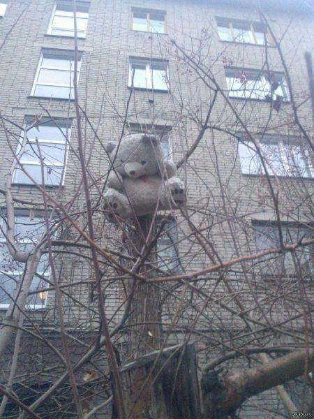 Прикольные картинки