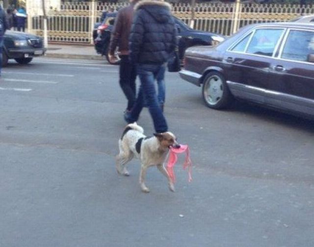 Прикольные картинки