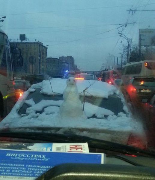 Прикольные картинки