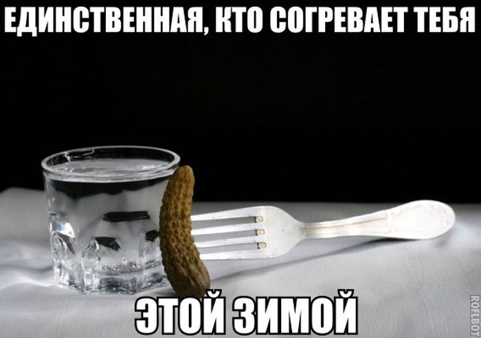 Прикольные картинки (81 фото)