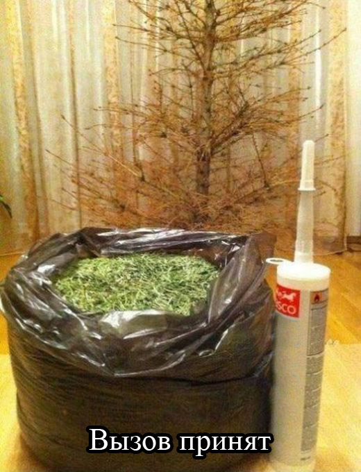 Прикольные картинки (81 фото)