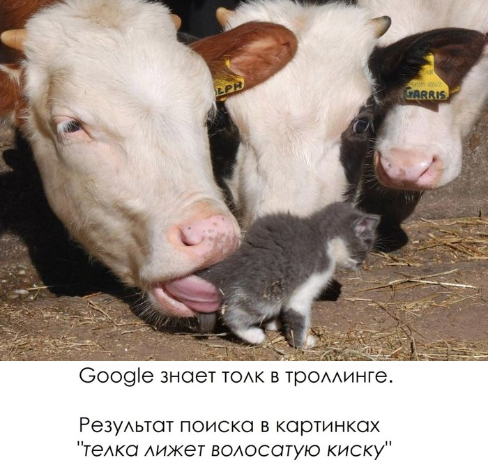 Прикольные картинки (81 фото)