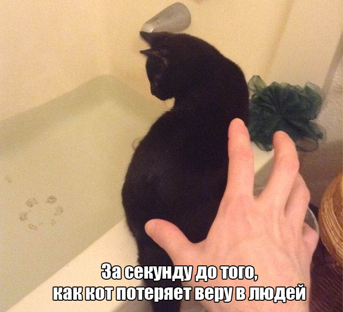 Порция картинок