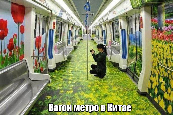 Порция картинок
