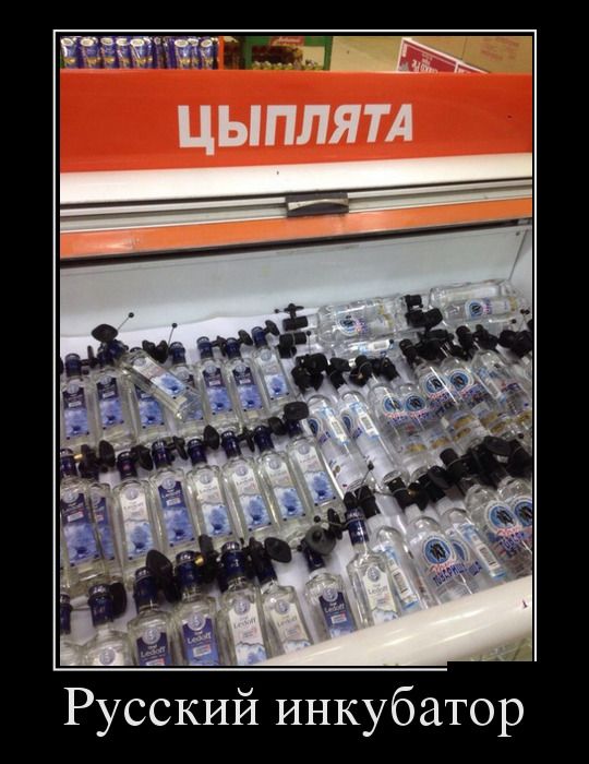 Демотиваторы
