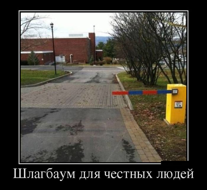 Демотиваторы