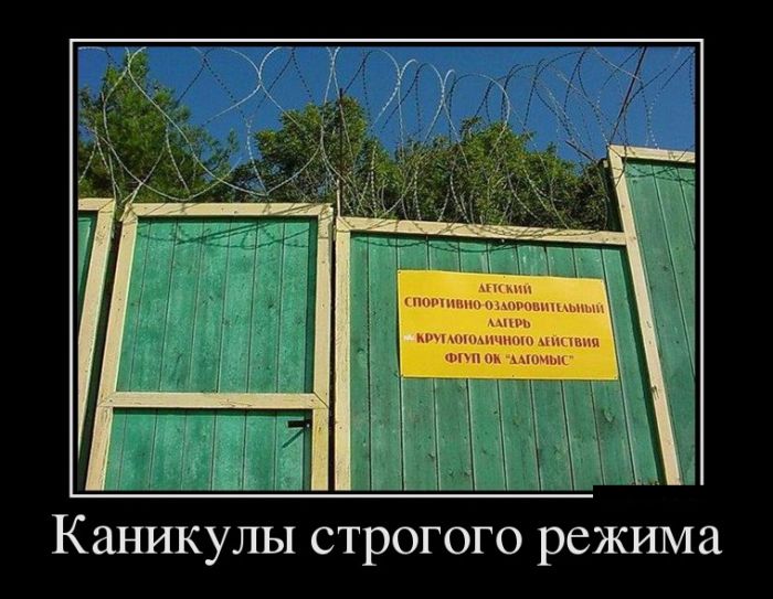 Демотиваторы