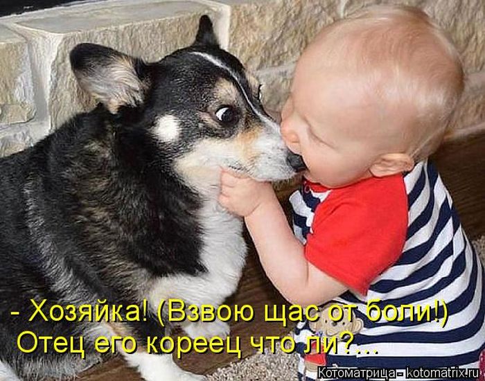 Лучшие котоматрицы недели