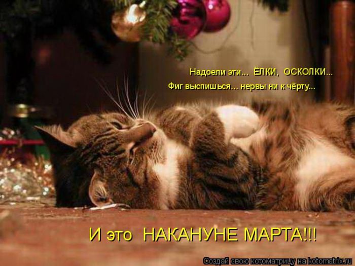Лучшие котоматрицы недели