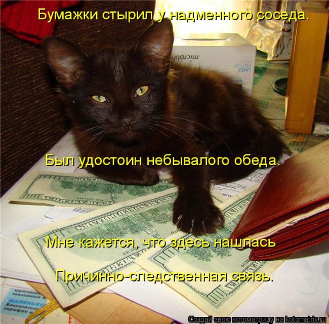 Лучшие котоматрицы недели