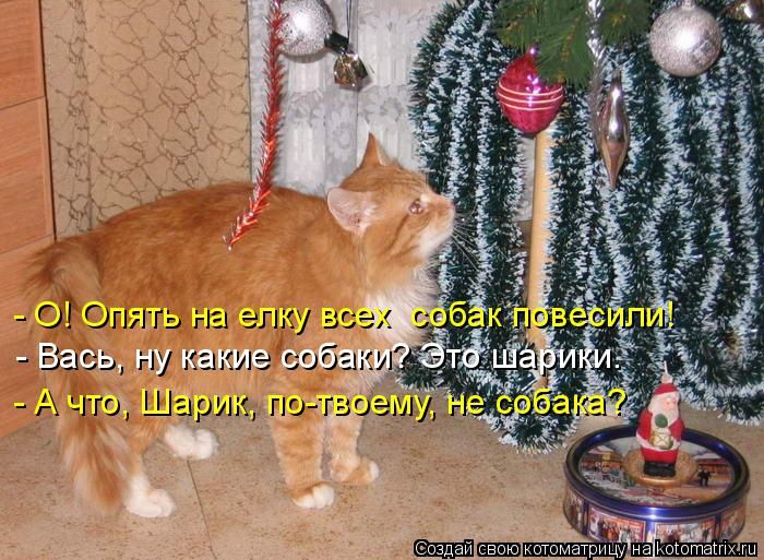Лучшие котоматрицы недели