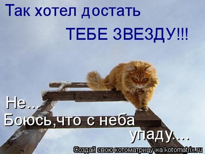 Лучшие котоматрицы недели