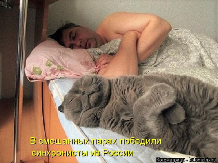 Лучшие котоматрицы недели