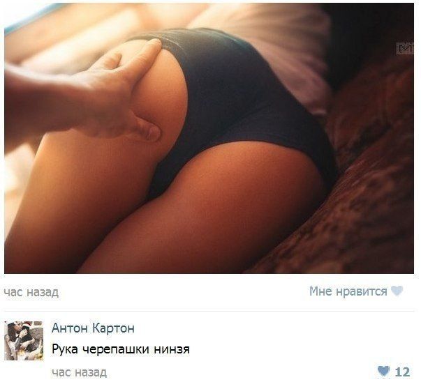 Юмор соцсетей