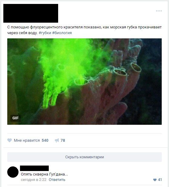 Юмор соцсетей
