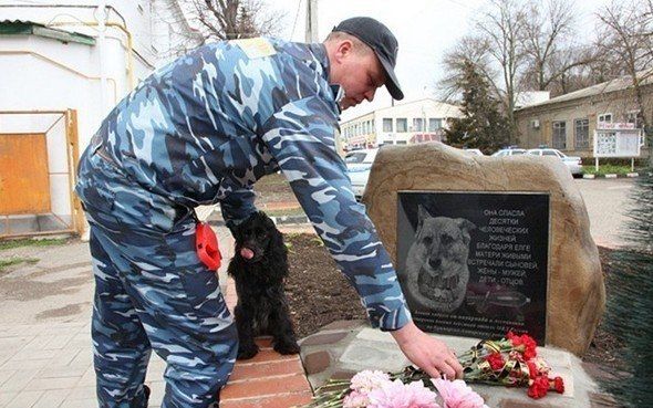 Собачье дело (4 фото)