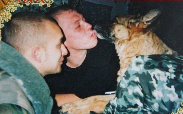 Собачье дело (4 фото)