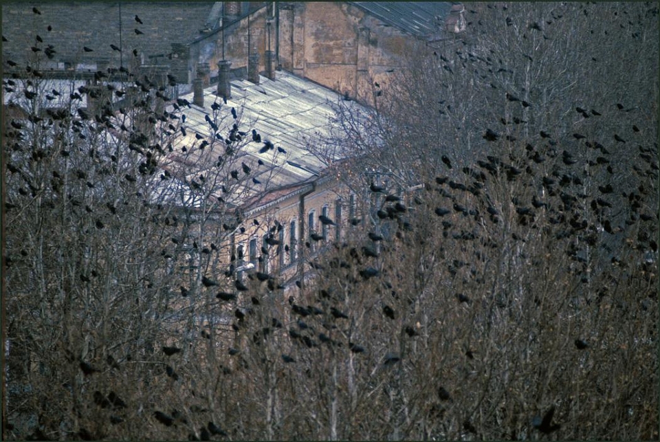 Одесса 1980-х глазами Яна Берри