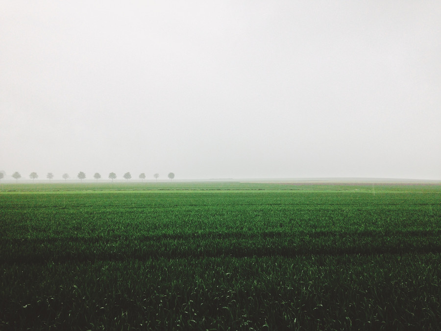 Пейзажные фотографии, снятые на iPhone