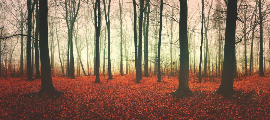 Пейзажные фотографии, снятые на iPhone