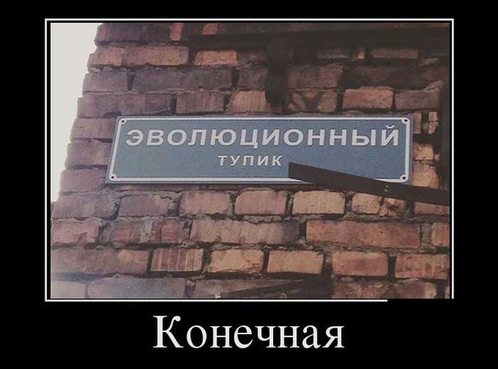 Демотиваторы