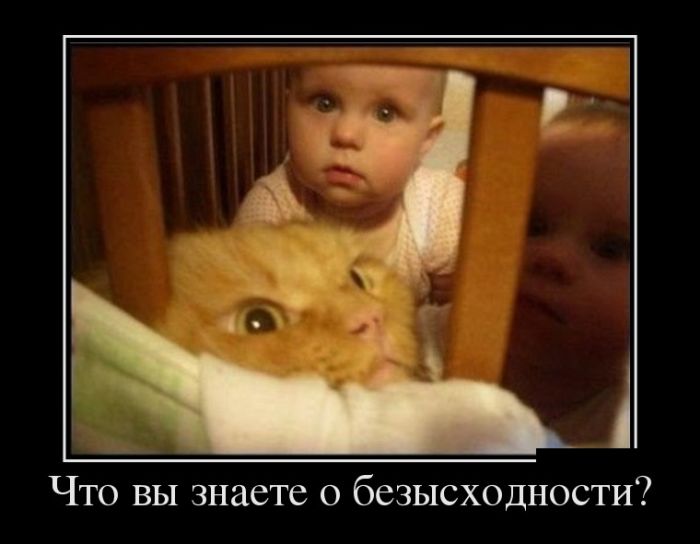 Демотиваторы