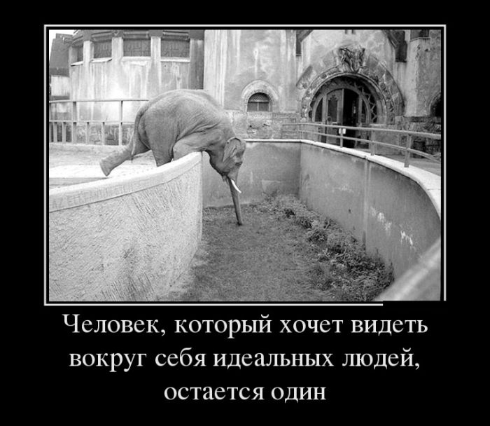Демотиваторы