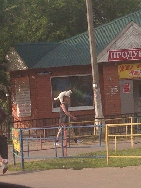 Фото, которые возможно было сделать только в России
