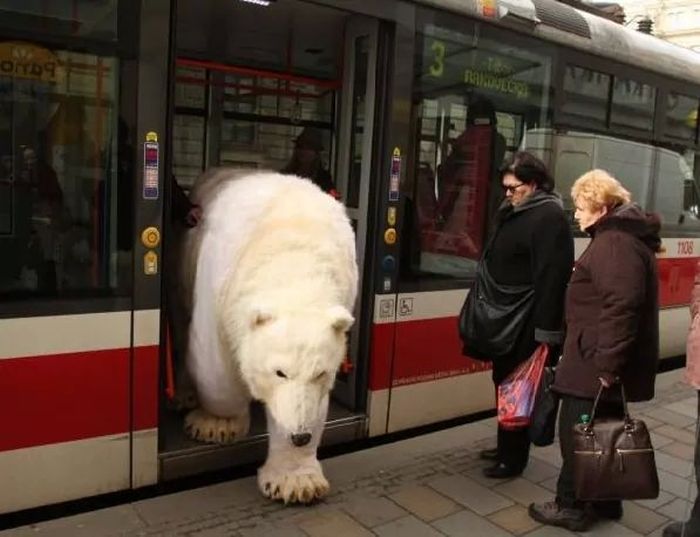 Фото, которые возможно было сделать только в России