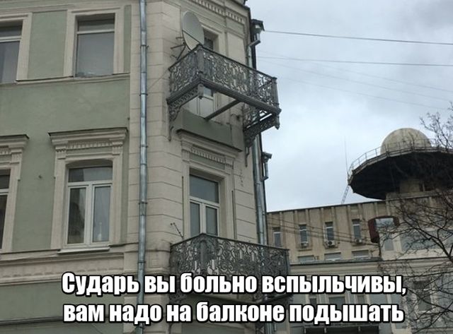 Прикольные картинки