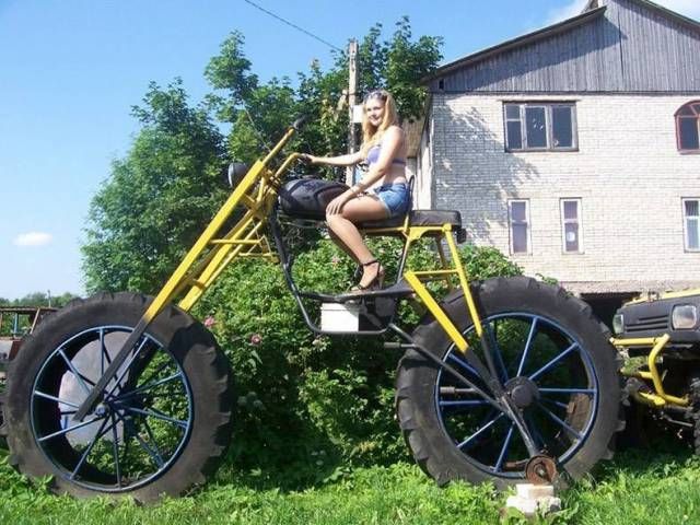Прикольные картинки