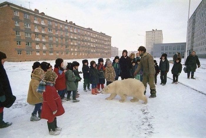 Странные и забавные фото с российских просторов