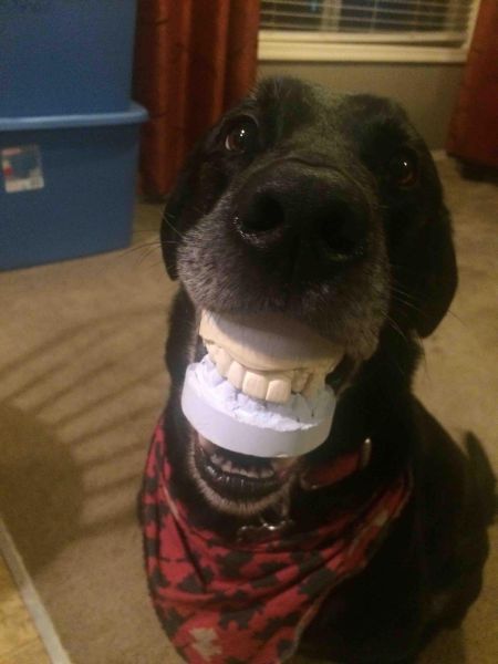 Порция картинок