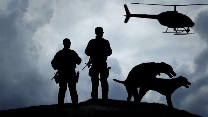 Порция картинок