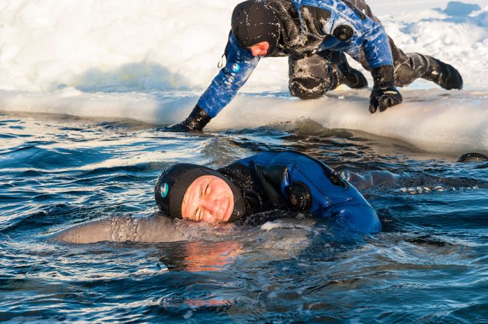 Порция картинок