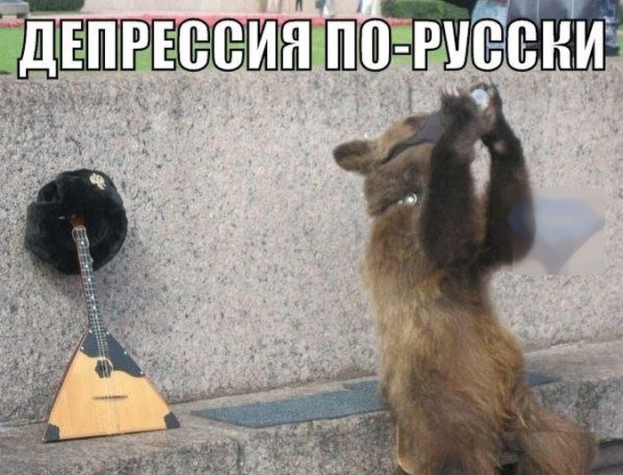 Порция картинок