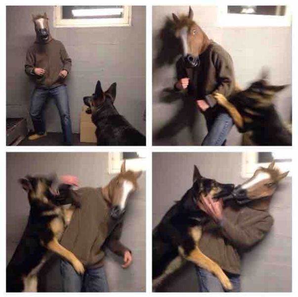 Порция картинок