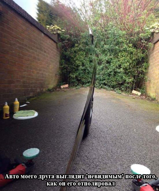 Порция картинок