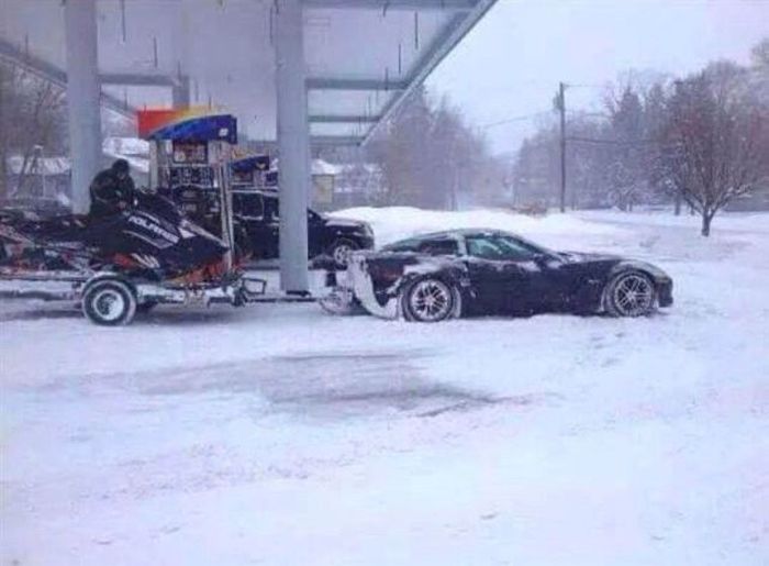 Порция картинок